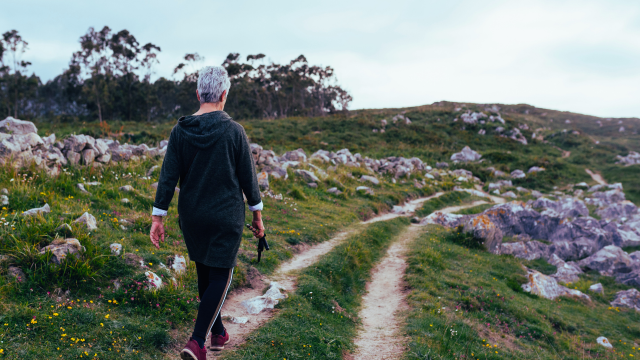 The Importance of Exercise for Breast Cancer Recovery.